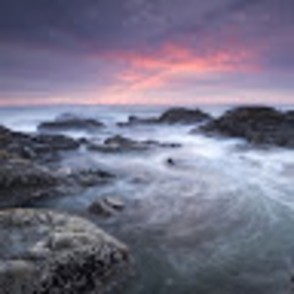 Meet your Posher, Jennifer - Picture 1 of 1